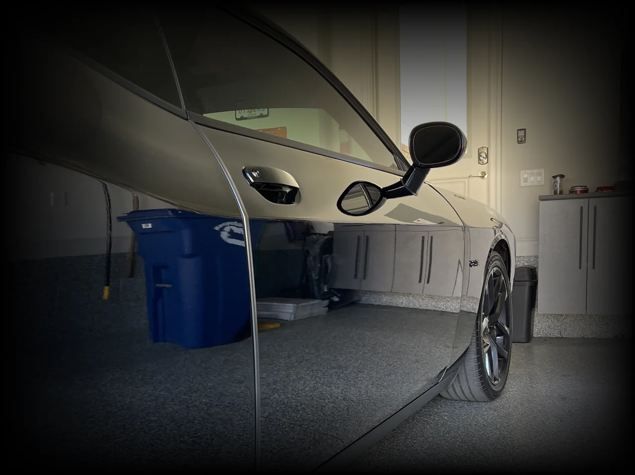 Ceramic Coating detailing